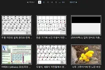 미리보기 그림 - [텍스트큐브]  JP Thumbnail for Textcube 끼우개 고친 판 (마중그림 글 목록)